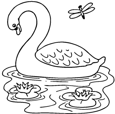 Swan In The Lake  Coloring Page